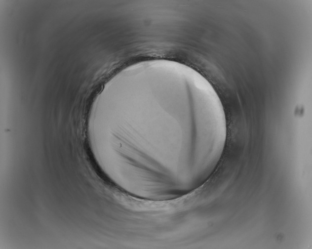 X0000096680031200802261527