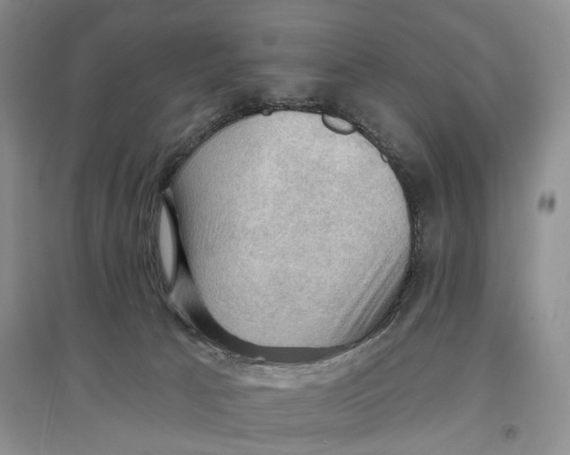 X0000096680033200802261527