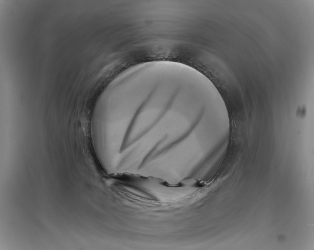 X0000096680035200802261527