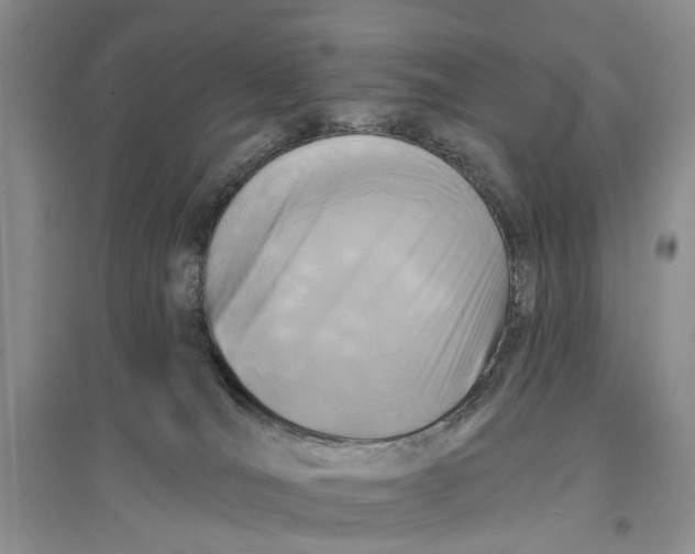 X0000096680036200802261527