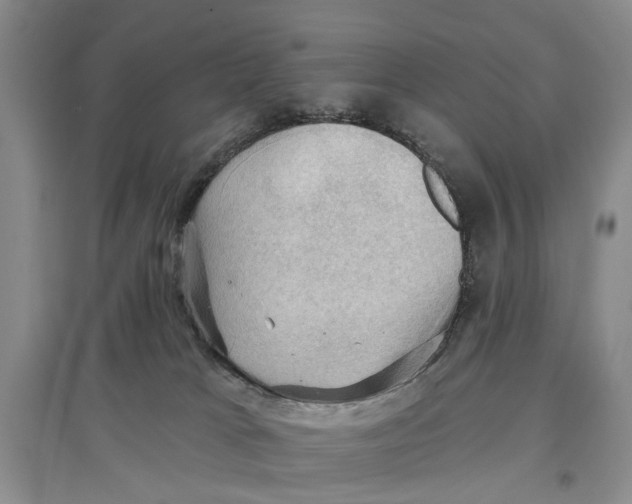 X0000096680037200802261527