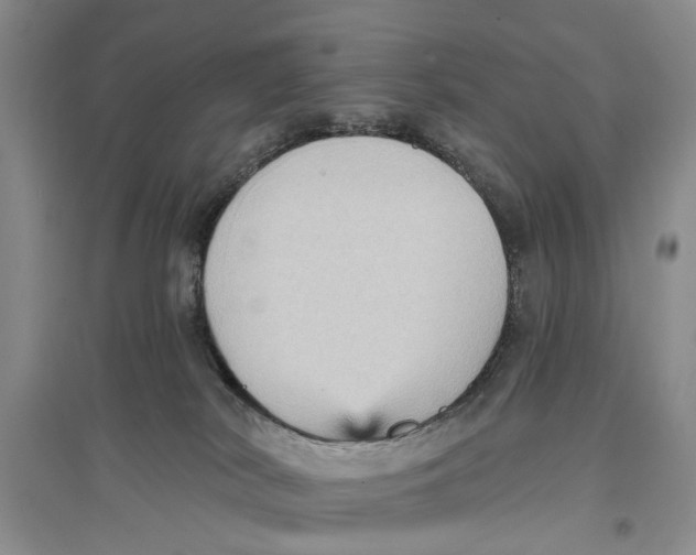 X0000096680038200802261527