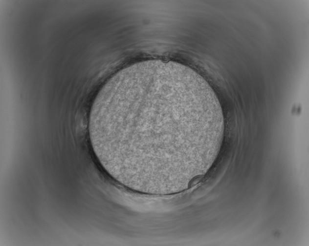 X0000096680040200802261527