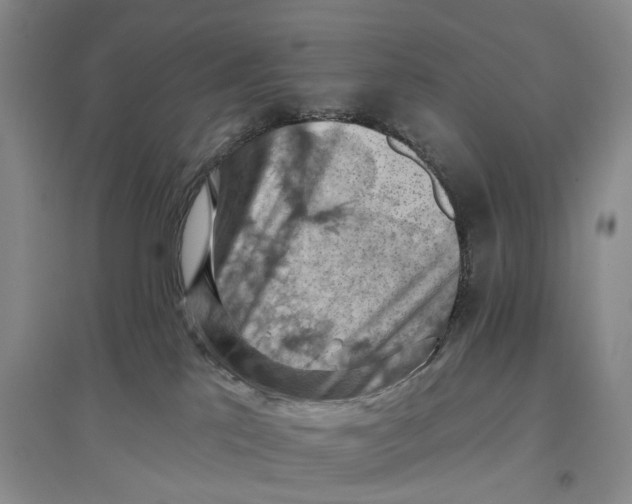 X0000096680041200802261527