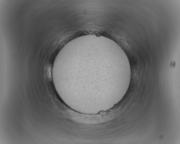 X0000096680042200802261527