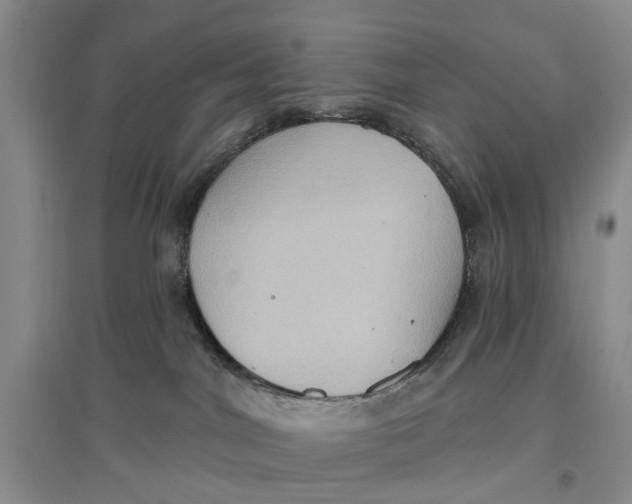 X0000096680044200802261527