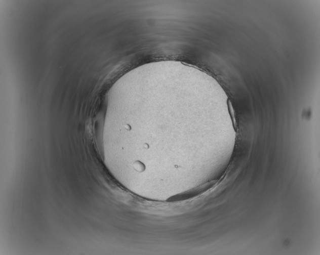 X0000096680045200802261526
