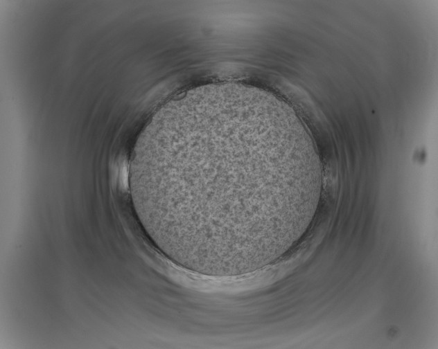 X0000096680046200802261526