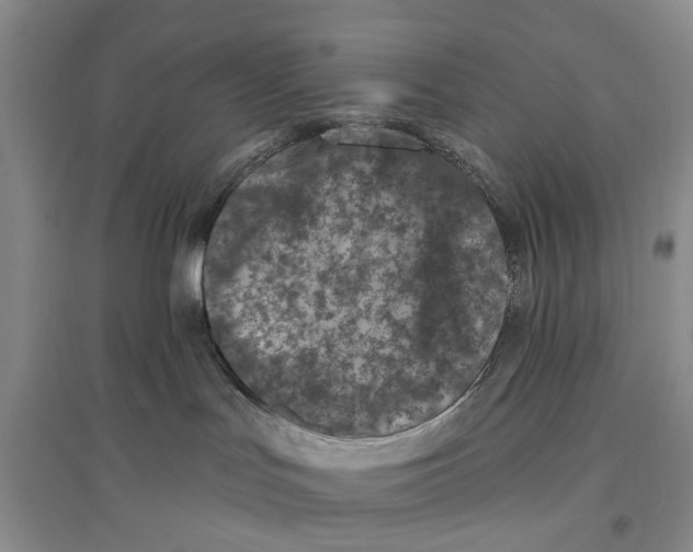 X0000096680047200802261526