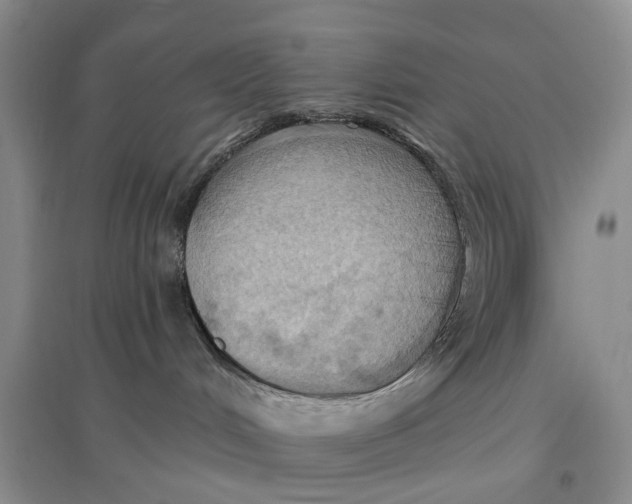 X0000096680048200802261526