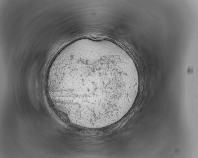 X0000096680049200802261526