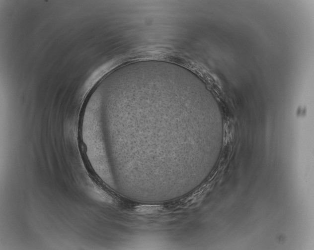 X0000096680051200802261526