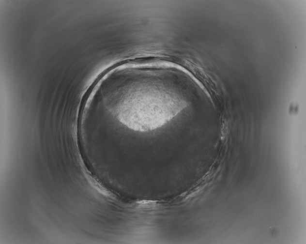 X0000096680052200802261526