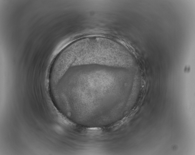 X0000096680053200802261526