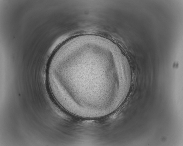 X0000096680054200802261526