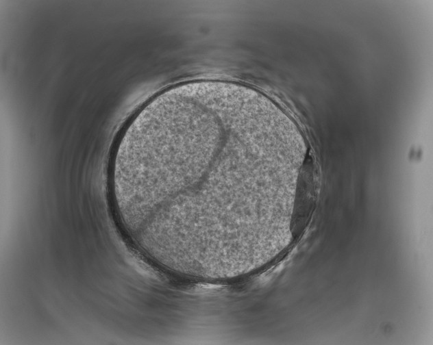 X0000096680055200802261526