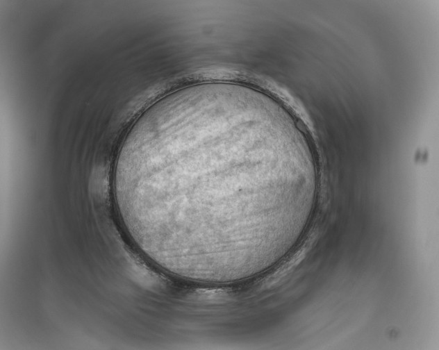 X0000096680057200802261526