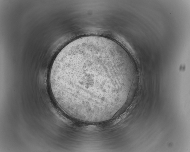 X0000096680058200802261526