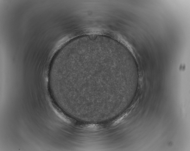 X0000096680059200802261526