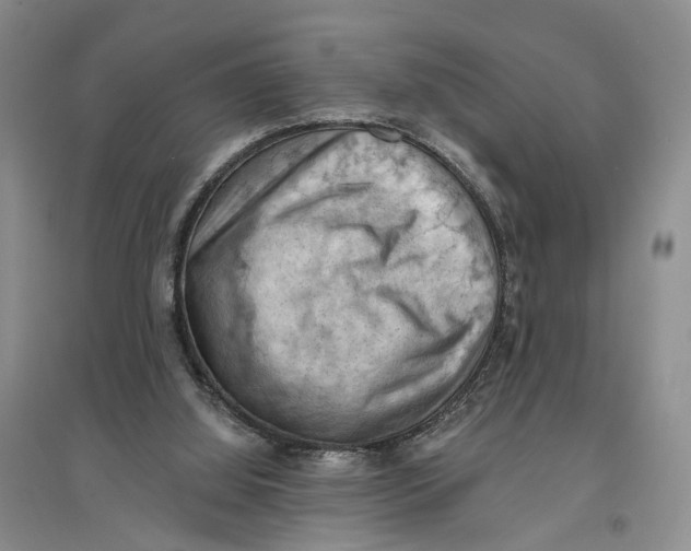 X0000096680060200802261526