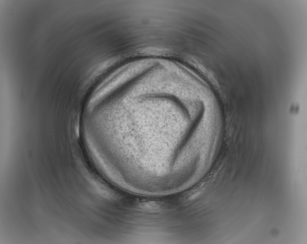 X0000096680062200802261526