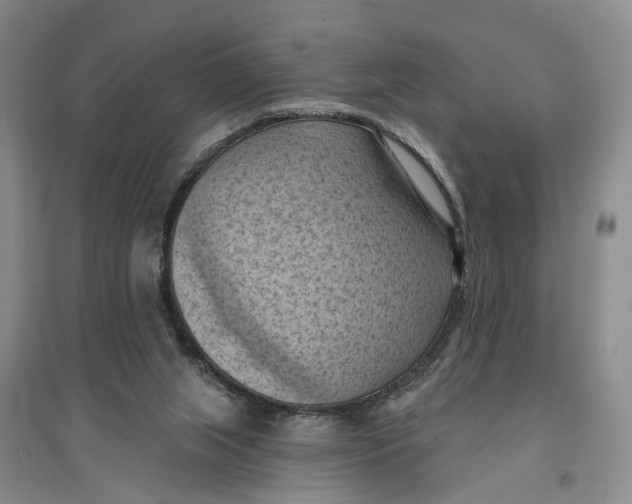 X0000096680063200802261526