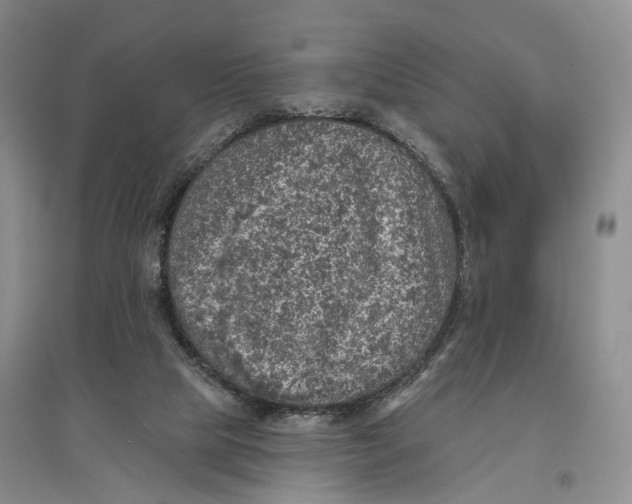 X0000096680065200802261526