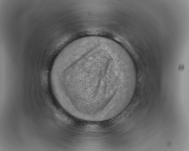 X0000096680066200802261526