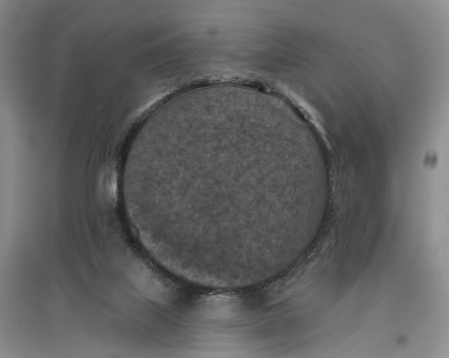 X0000096680067200802261526