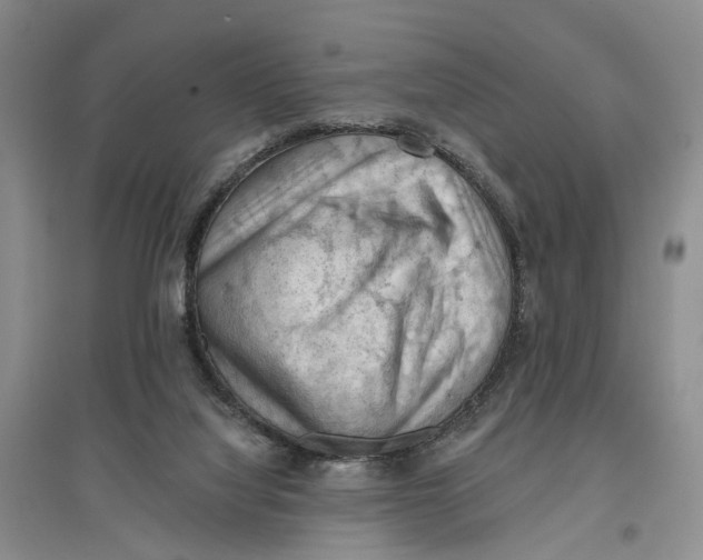 X0000096680068200802261526