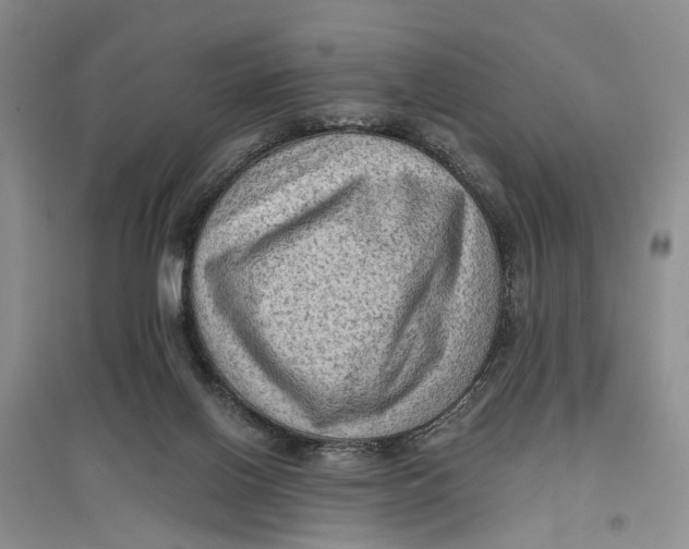 X0000096680070200802261526
