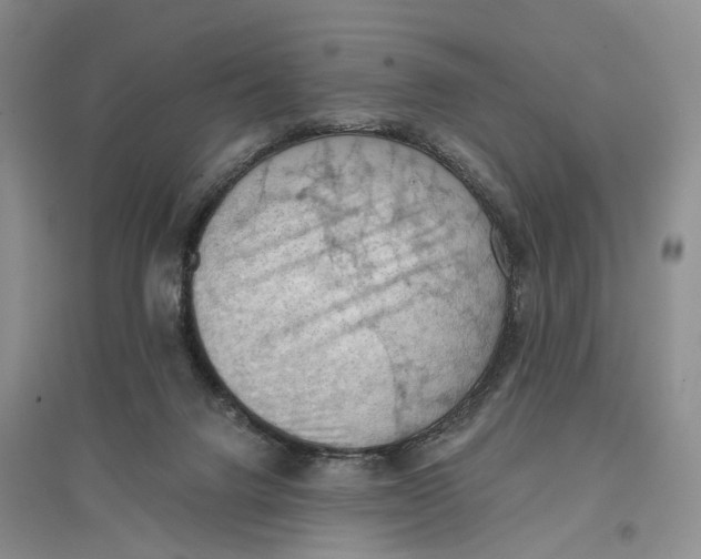X0000096680072200802261526