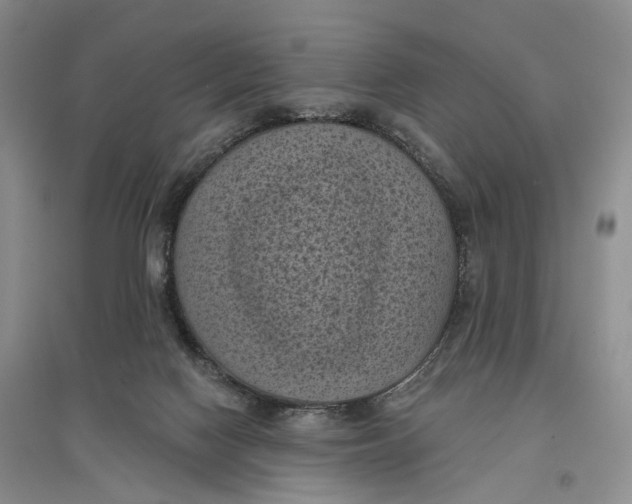 X0000096680074200802261526