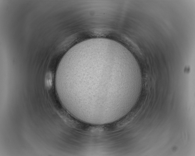 X0000096680075200802261526