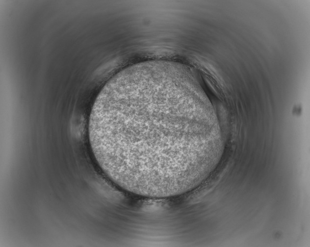 X0000096680077200802261526