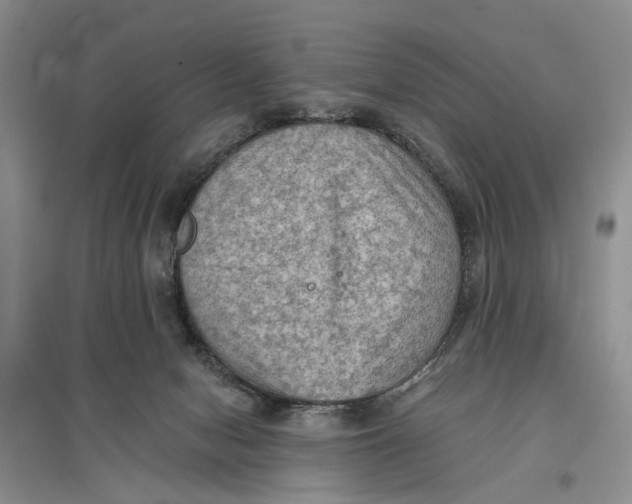 X0000096680078200802261526