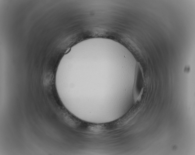 X0000096680079200802261526