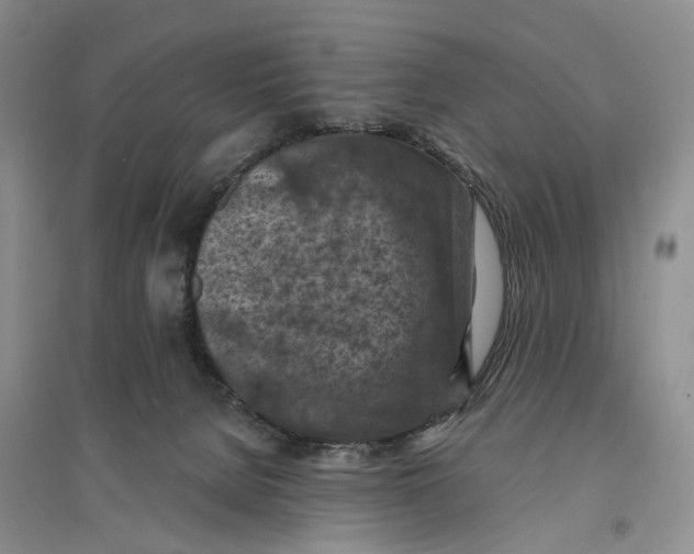 X0000096680080200802261526