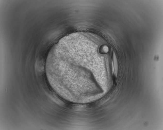 X0000096680081200802261526