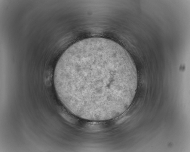 X0000096680082200802261526