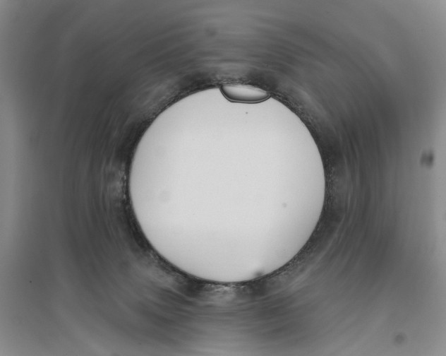 X0000096680083200802261526