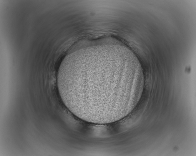 X0000096680085200802261526