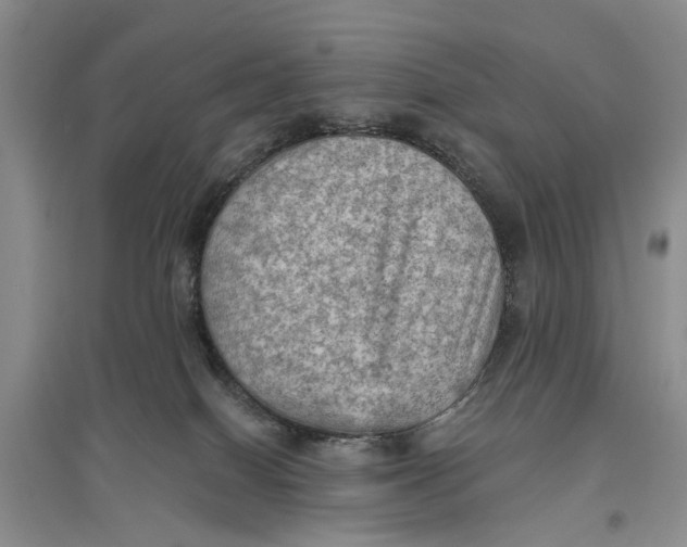 X0000096680086200802261526