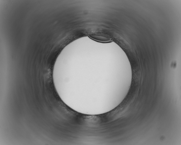 X0000096680087200802261526