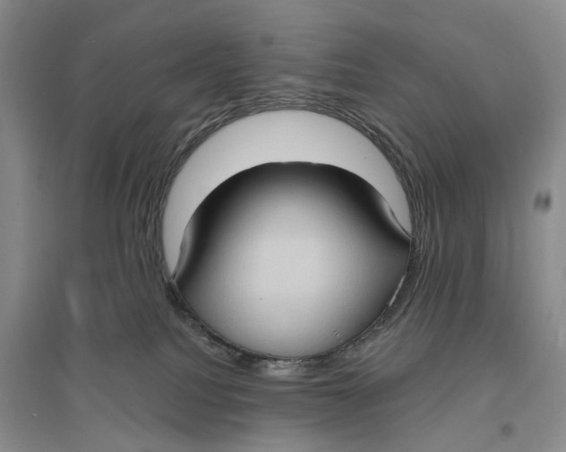 X0000096680088200802261526