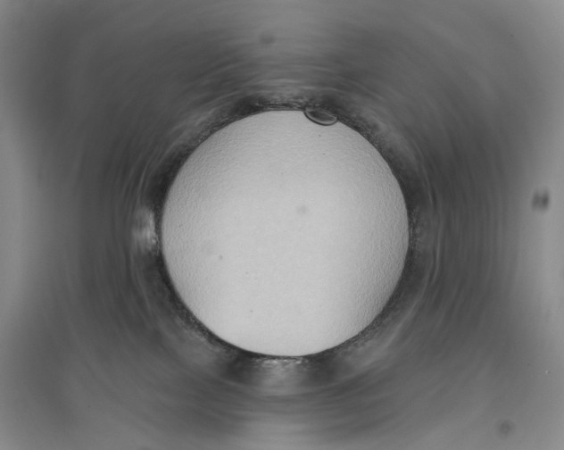 X0000096680089200802261526