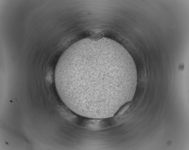 X0000096680090200802261526