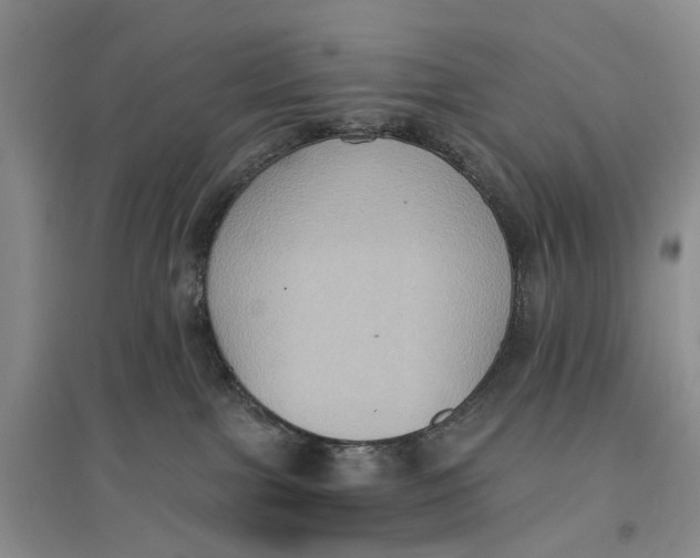 X0000096680091200802261526