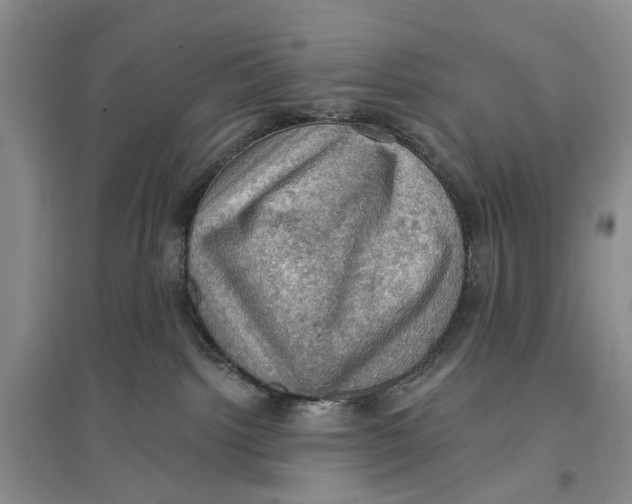 X0000096680092200802261526