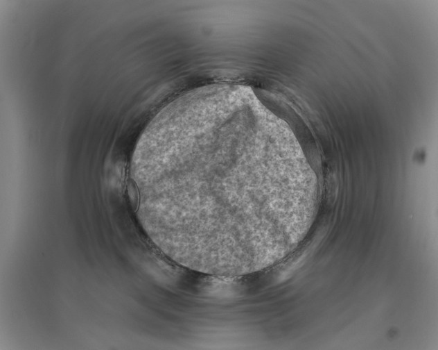 X0000096680093200802261526